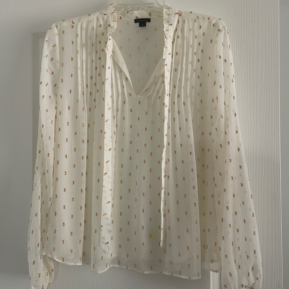Ann Taylor blouse